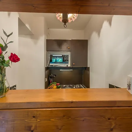 Appartement 2 Pieces Chamonix, 4 Pers, Animaux Ok, Parking - Fr-1-517-18 Chamonix